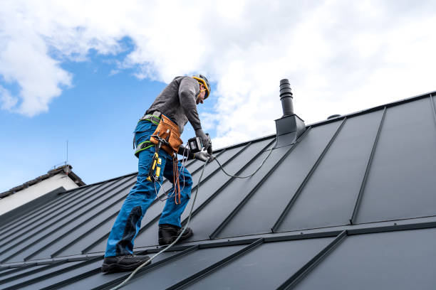 Best Roof Restoration  in Hayfield, MN